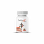 Orthoxil Plus Capsules for Arthritis