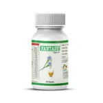 Fantasy Ayurvedic female libido pills for women with herbal support for daily vitality